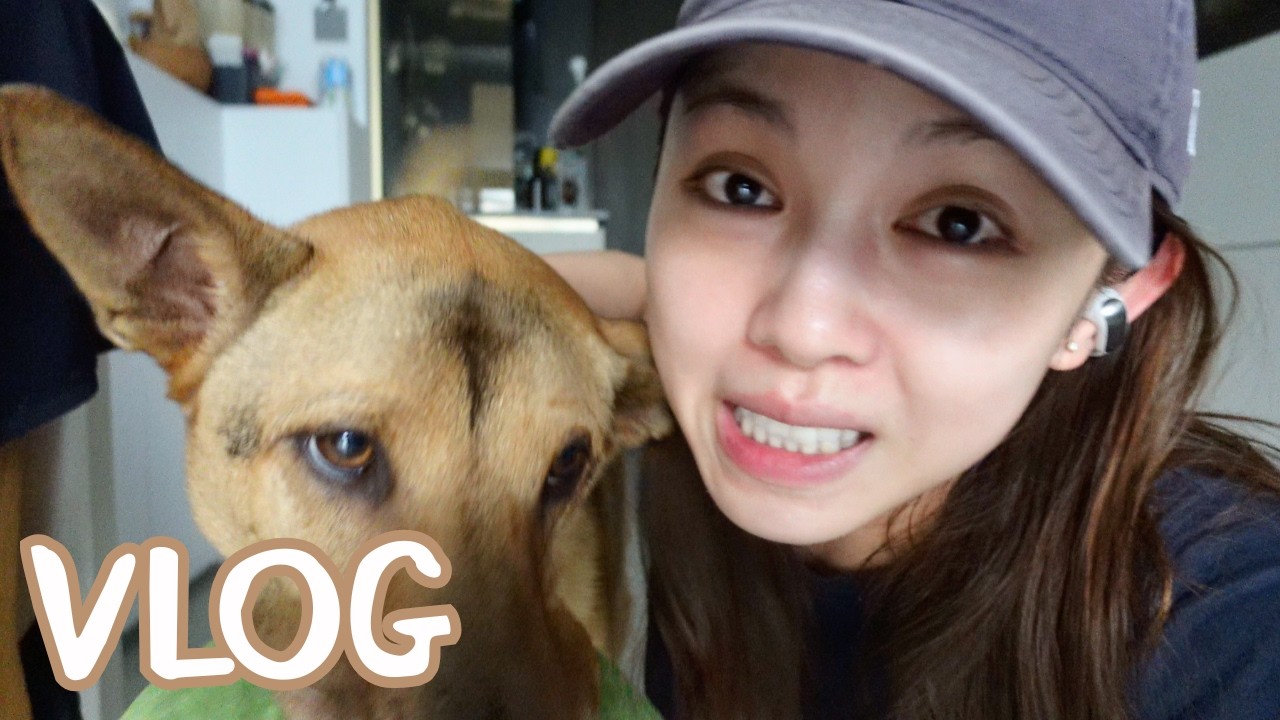 【VLOG】日常的一天｜小小Q&A（有全職工作嗎？）｜家常便飯煮什麼｜開箱4款自購開架(踩雷)素顏霜