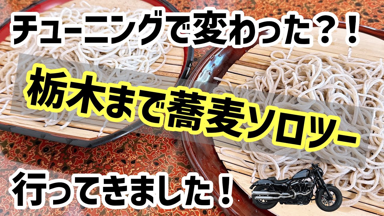 【フォーティーエイト】チューニング後初のソロツーで栃木まで！乗り心地はどうなった？
