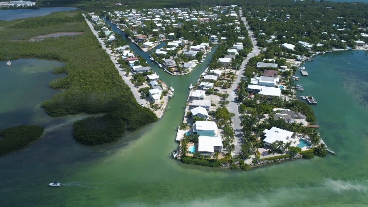 Plantation Key Shoreline | Area Video