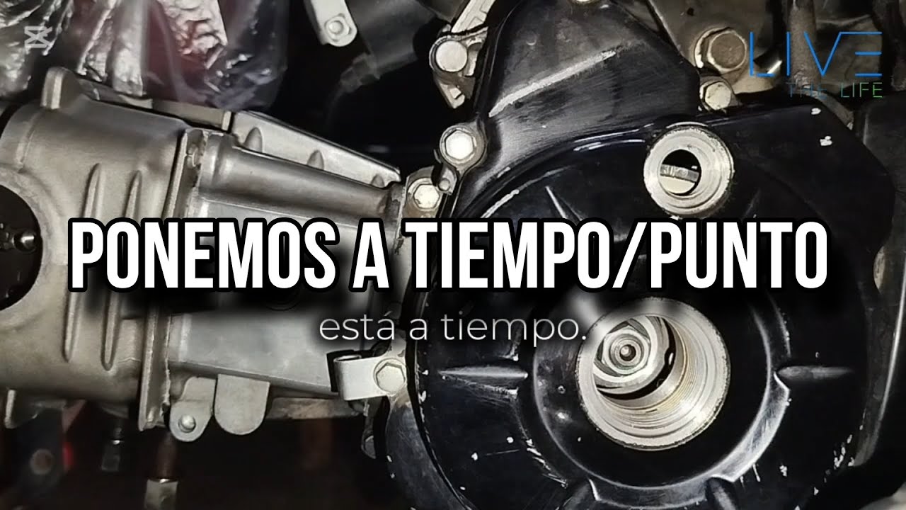¿Cómo poner a tiempo/punto la moto? Honda Wave 110 s