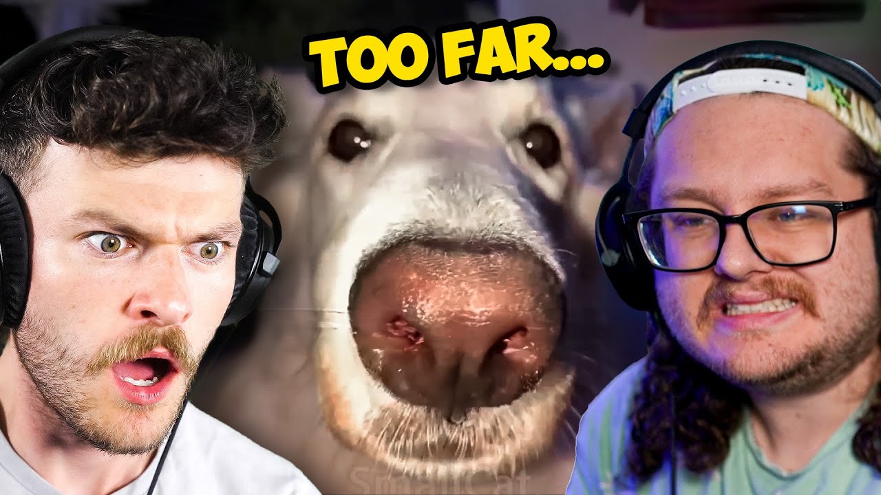 I Offended My Editor...
