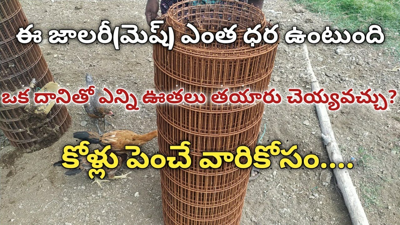 ఈ జాలరీ ఎంత ధర ఉంటుంది? ఒకదానితో ఎన్ని ఊతలు చెయ్యొచ్చు? కోళ్లు పెంచేవారికోసం #mesh #fencing
