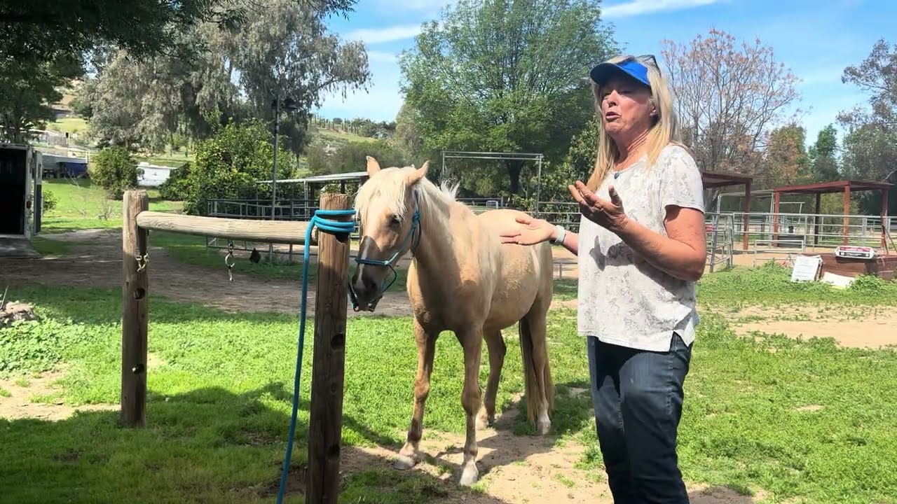Deworming your horse stress free! 