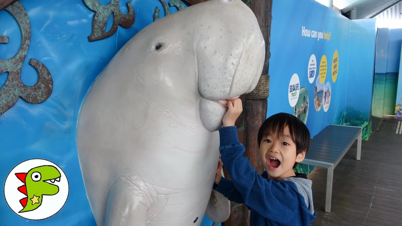 おでかけ オーストラリア シドニー 水族館 SEA LIFE SYDNEY ヒトデにさわったりペンギンをみつけたよ！ トイキッズ