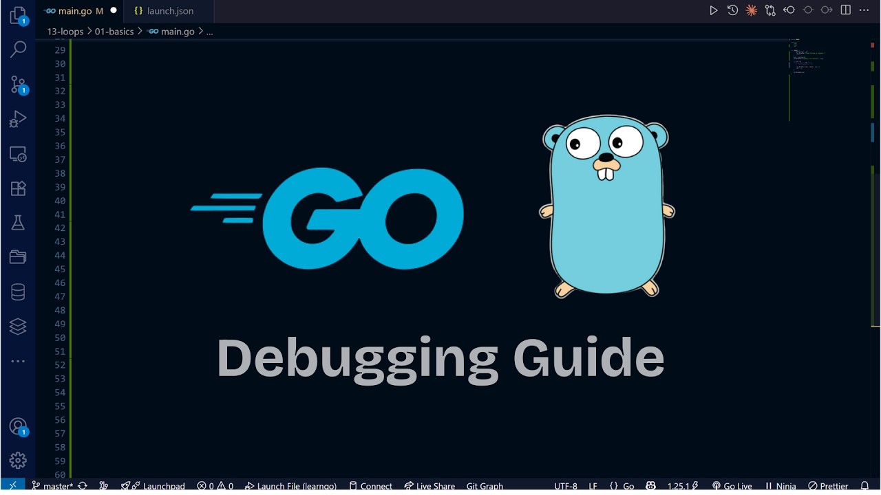Полное руководство по отладке Go в VS Code