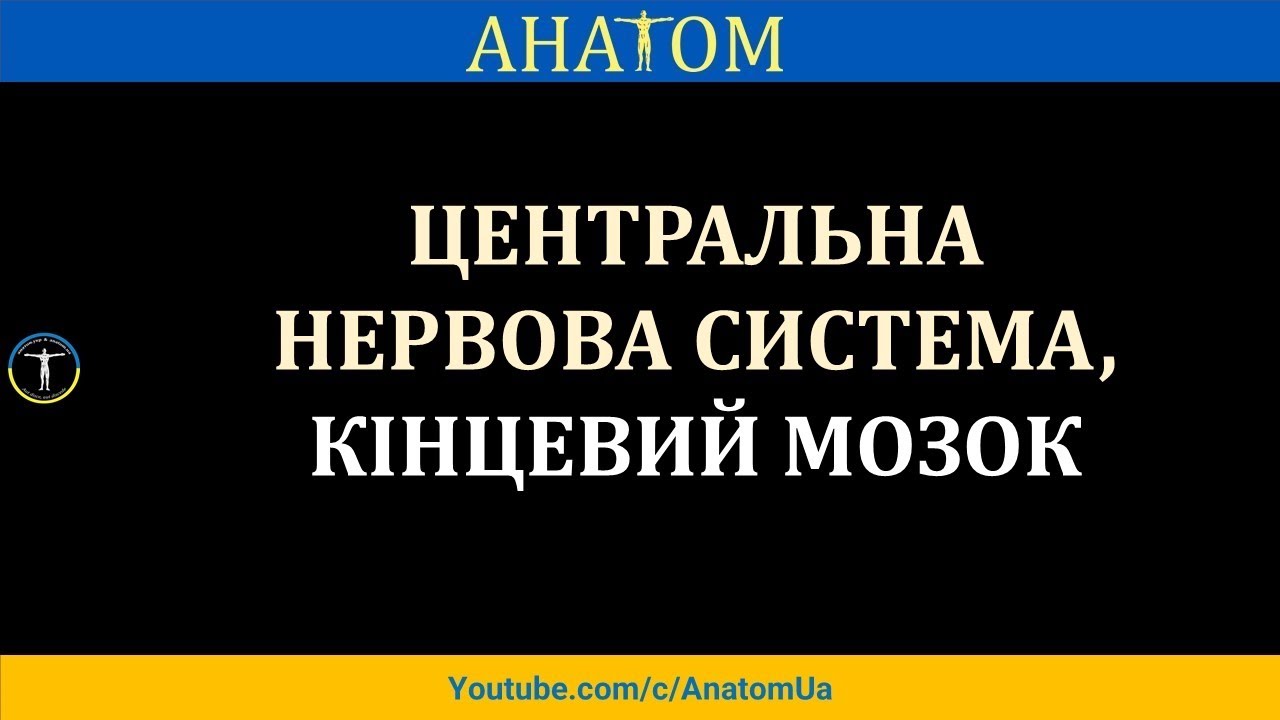 ЦНС 3