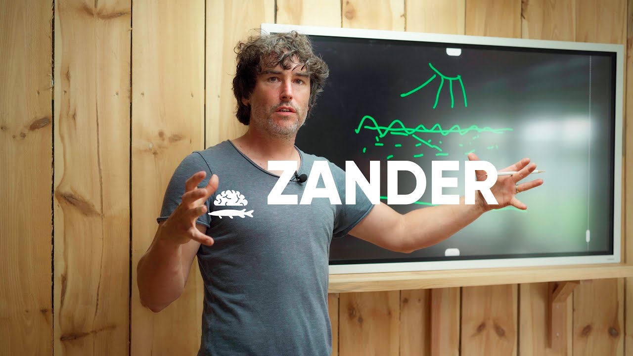 ZANDER im SOMMER - so geht's!