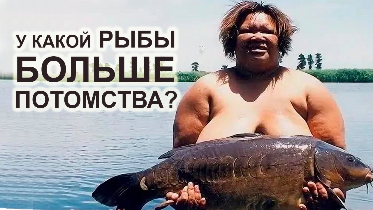 Неудобные вопросы к рыболовам-любителям