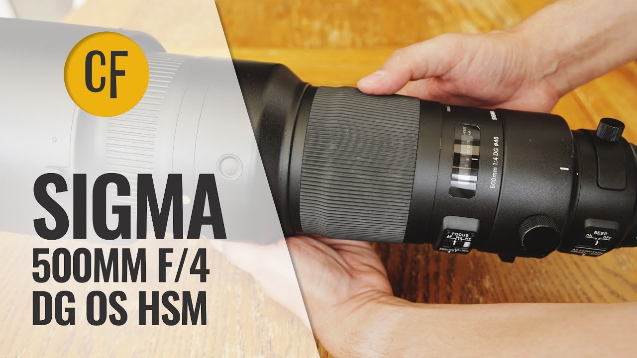 Обзор объектива Sigma 500mm f/4 DG OS HSM с примерами