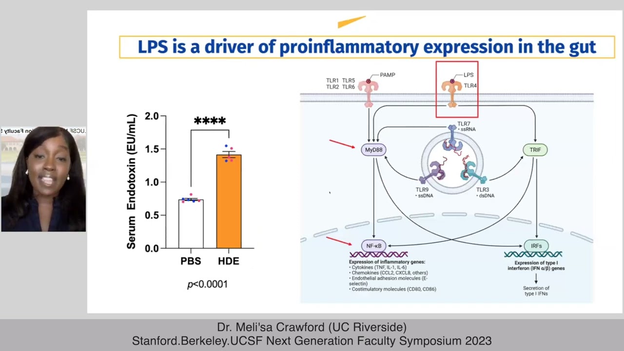 Mouse model reveals how environmental exposures disrupt gut barrier function
