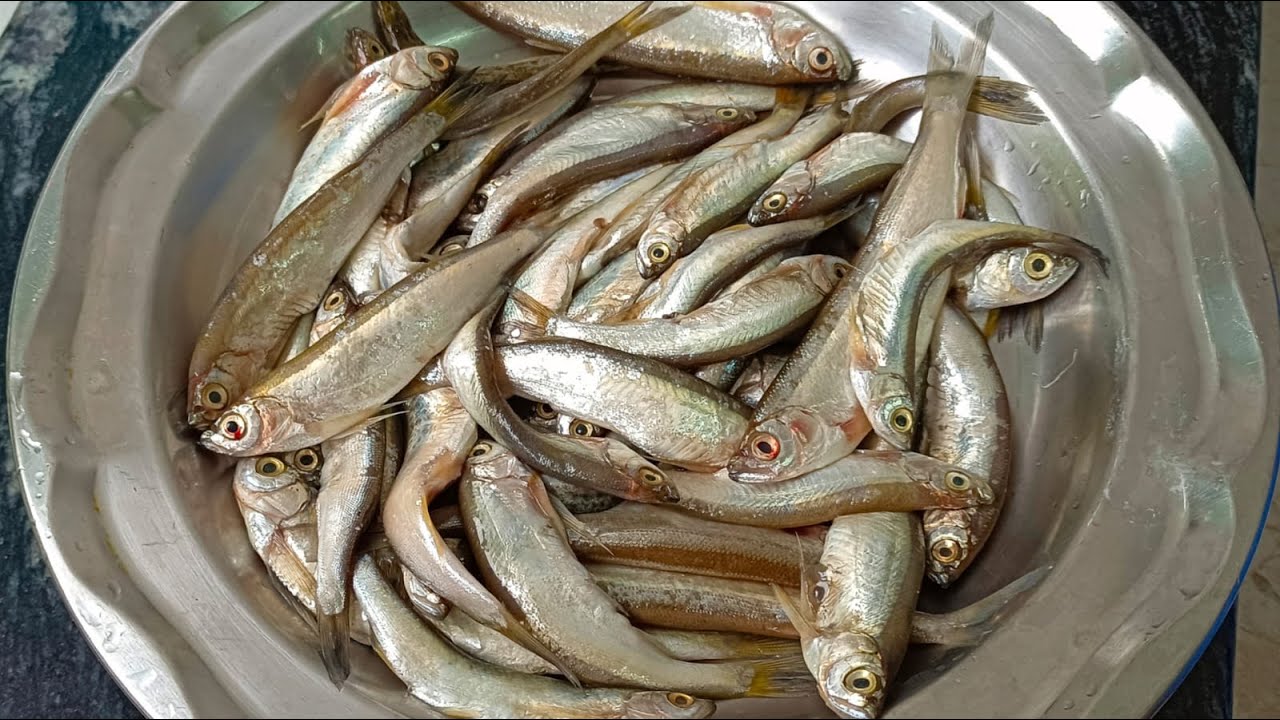 सारंगी मछली बनाने का तरीका | Sarangi Machali Recipe | Small Fish Recipe