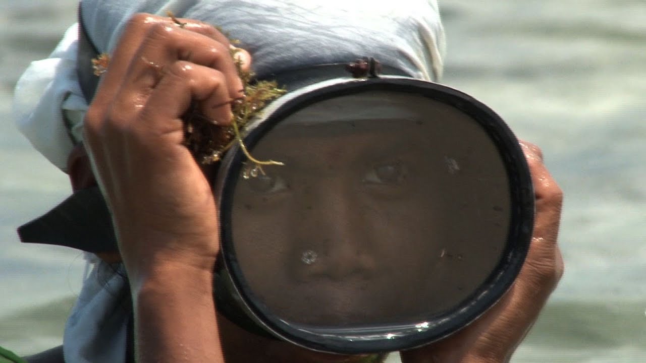 Shifting Undercurrents - Women Seaweed collectors of Gulf of Mannar
