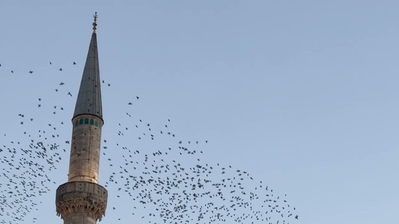 Cem Yıldız - Meskenim Ayrılık (Official Video)