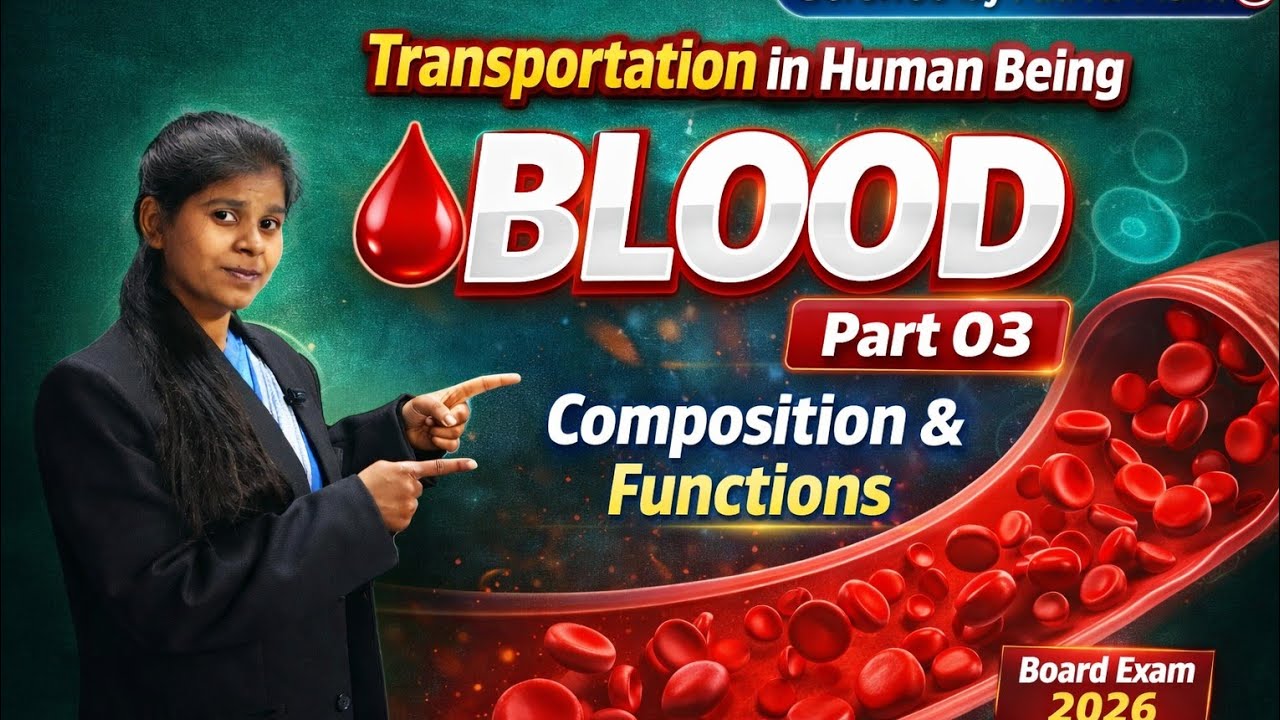 Transportation in Human Beings Part 03 | WBC and Platelets #ytvideos #trendingvideo#viralvideo