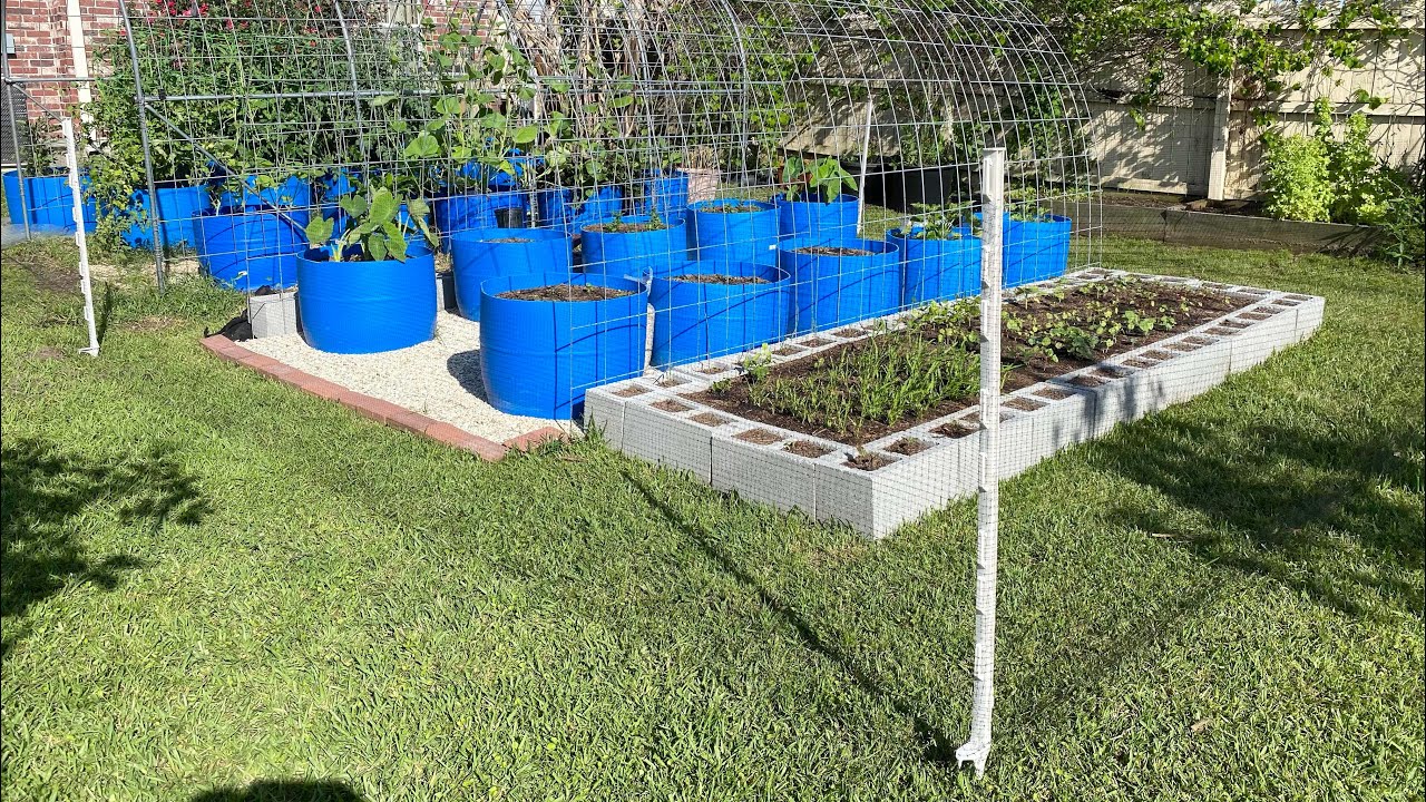 Tấm lưới ngăn ngừa sóc chuột hiệu quả tuyệt diệu | how to prevent squirrels and rats in garden