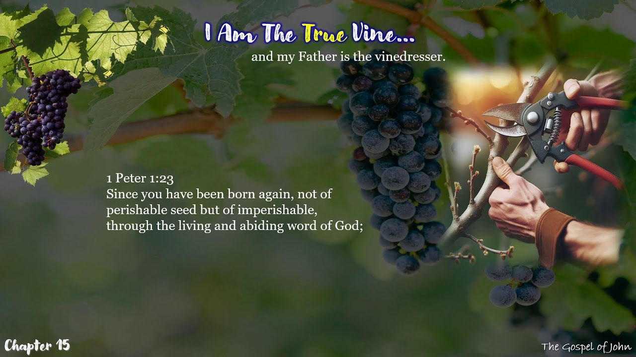 Sunday Bible Class - Gospel of John