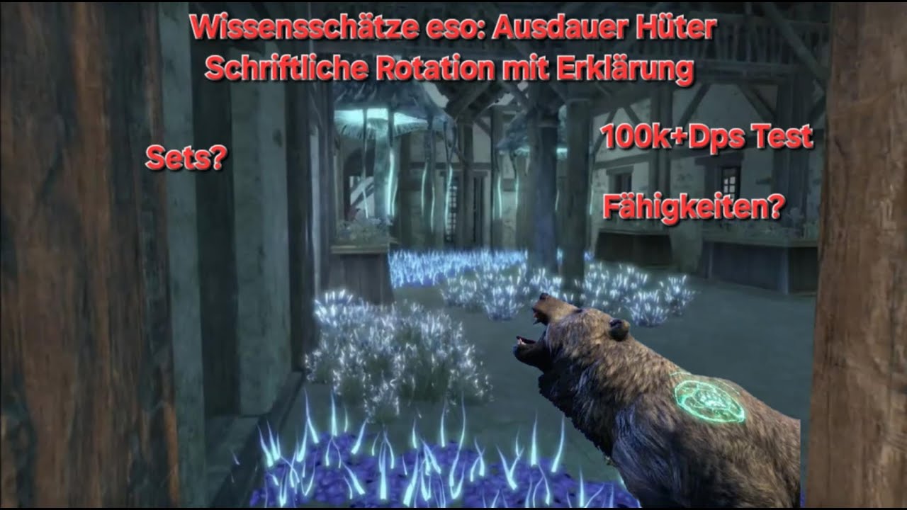 Wissensschätze eso: Ausdauer Hüter ( schriftliche Rotation mit Erklarung, Sets,Skills,100k+Dps)