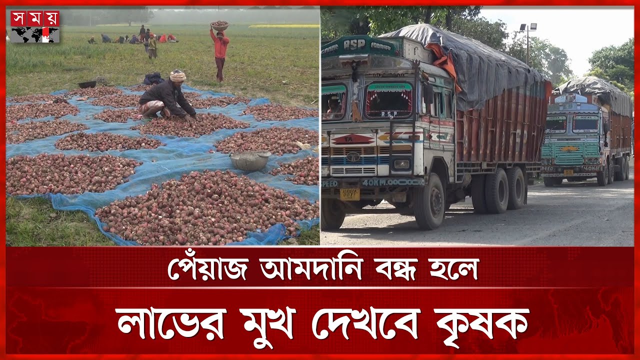 পেঁয়াজের বাম্পার ফলন, ভারত থেকে আমদানিই এখন চিন্তার কারণ | Bumper Onion Harvest | Somoy TV