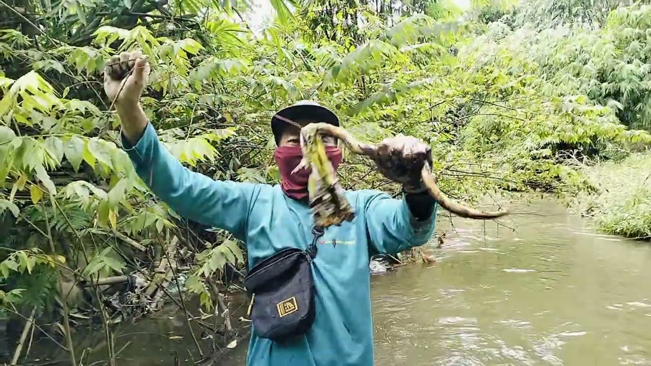 Momen