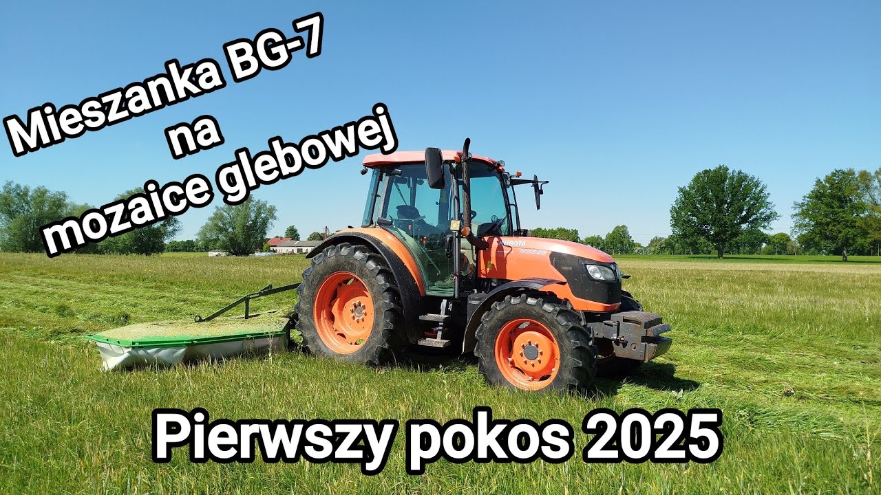 20.05.2025 - KOSZENIE mieszanki traw ☘️ BARENBRUG BG-7.  Pierwszy pokos na mozaice glebowej.