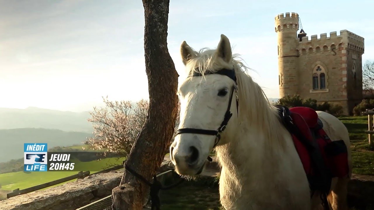 2017 - 1000 km à cheval au Pays Cathare - Equidia Life