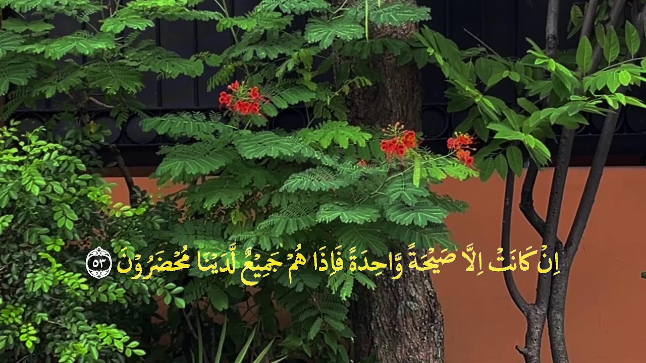 👉 Yosin surasi 83 oyat | Qalbga orom beruvchi ohangdor qiroat