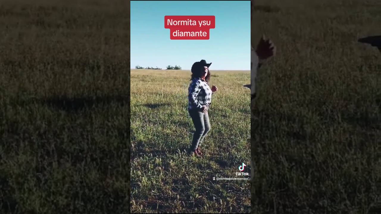 Normita ysu diamante Las cerezas