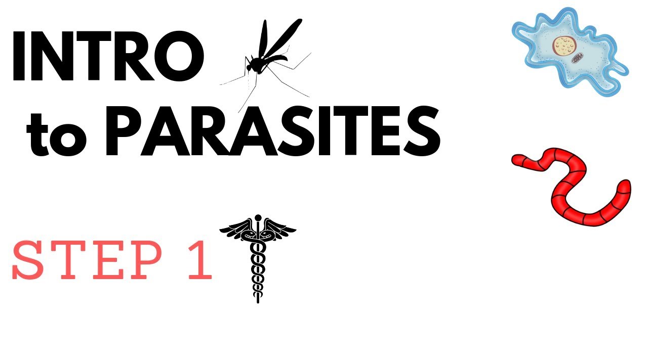 Step 1 Parasites- Full List & Overview | Protozoans & Metazoan Trematodes, Cestodes & Nematodes