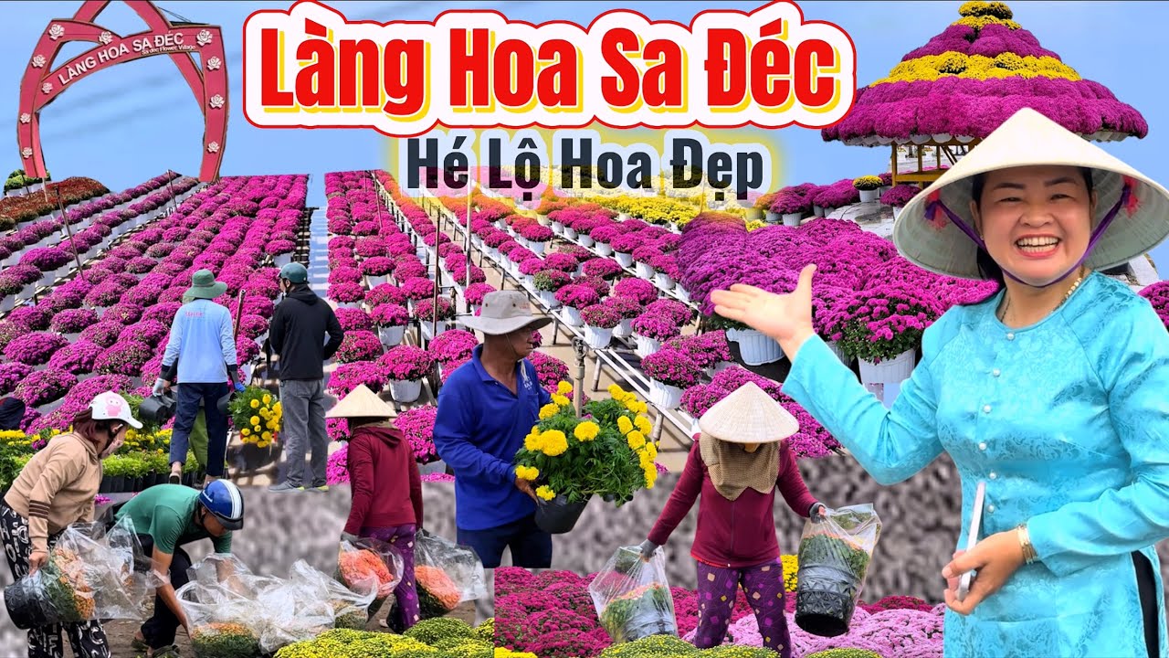 Quá Hoành Tráng, Quá Rực Rỡ, Làng Hoa Sa Đéc, Đồng Tháp Xuất Hiện Hàng Ngàn Chậu Hoa Đẹp để Đón Lễ