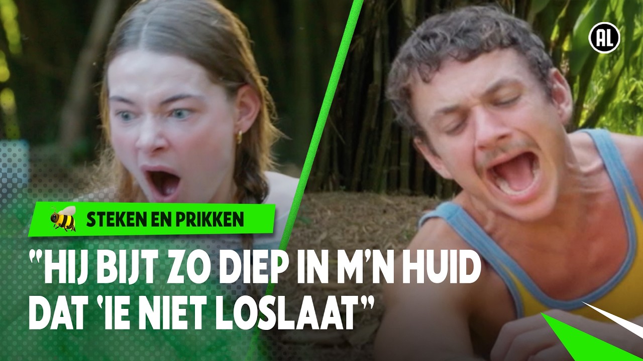 BEET VAN ENORME TROPISCHE SPIN DOET PIJNNN!! 😵🕷️  | Steken en Prikken | Seizoen 5 #4 | NPO Zapp