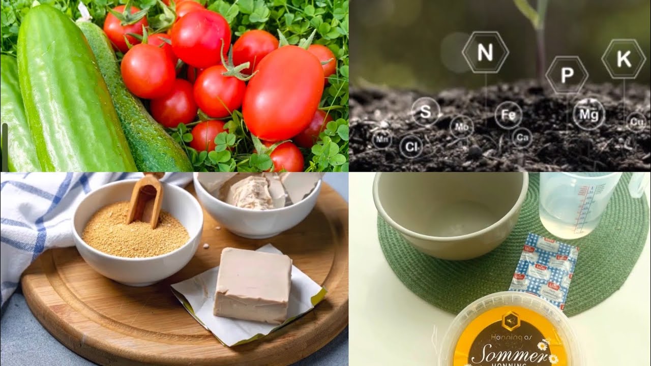 Visste du at plantene dine elsker gj&aelig;r? Hagetips fra Ukraina