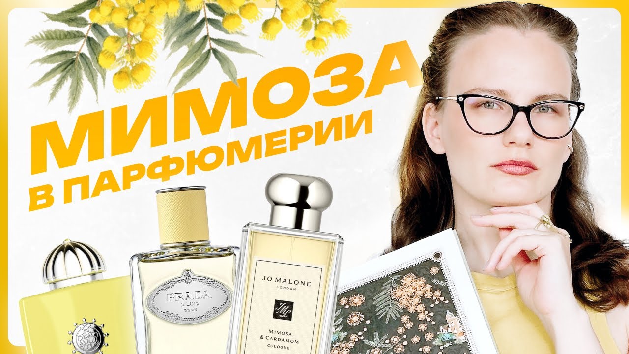 Парфюмерная нота: МИМОЗА - история, популярность во Франции, топ ароматов и новинка Mimosa Kenzo