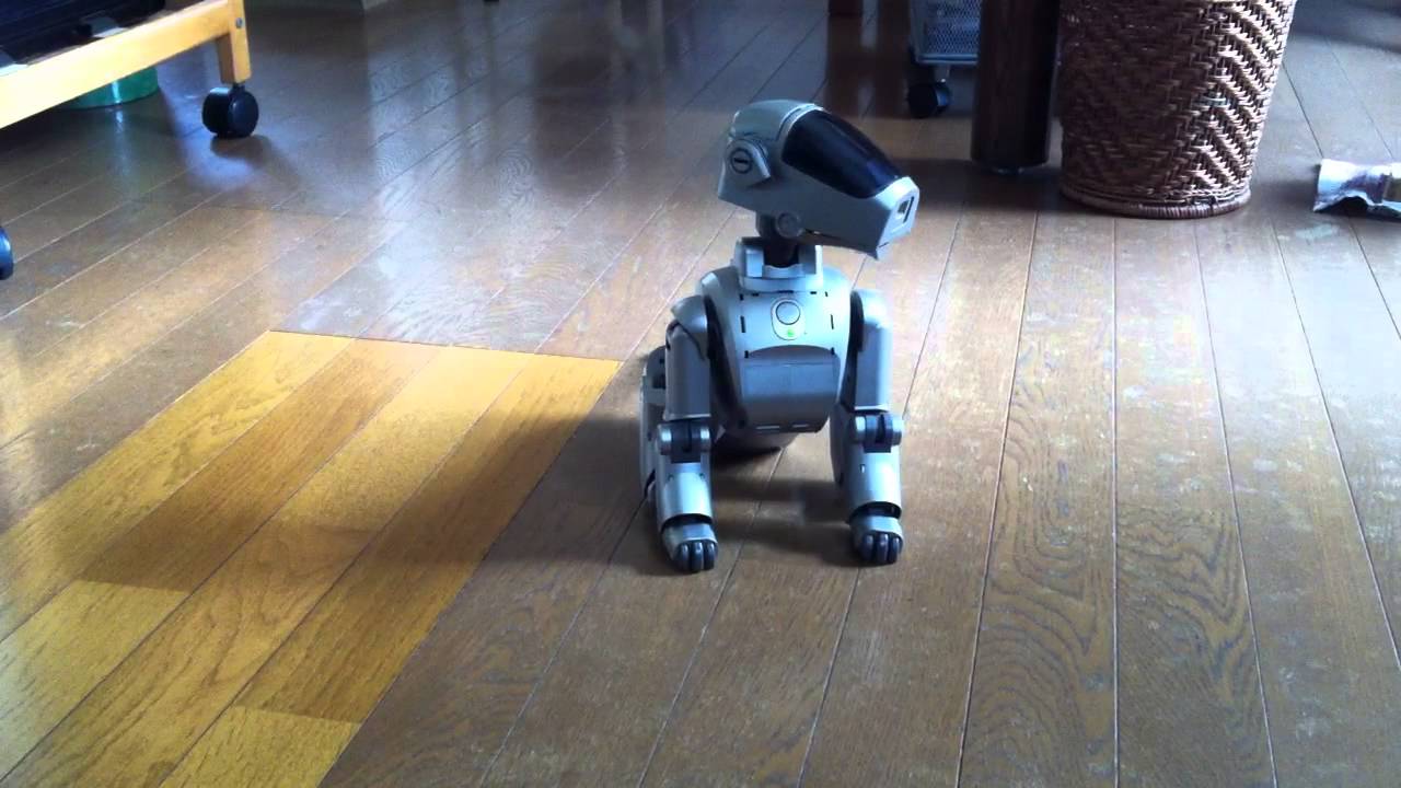 インクレディブルアイボ　（ERS-110 )その１