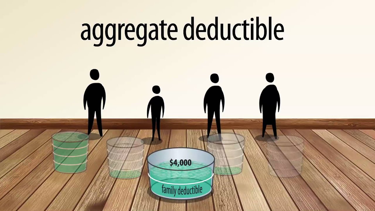 Understanding Cost-Sharing (BCBSVT, 2013)