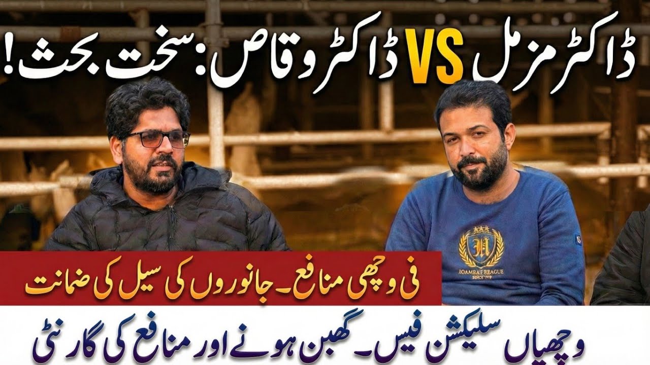 Dr. Muzzammil and Dr. Waqas hard talk II Dr. Waqas podcast II Heifer business details 2026