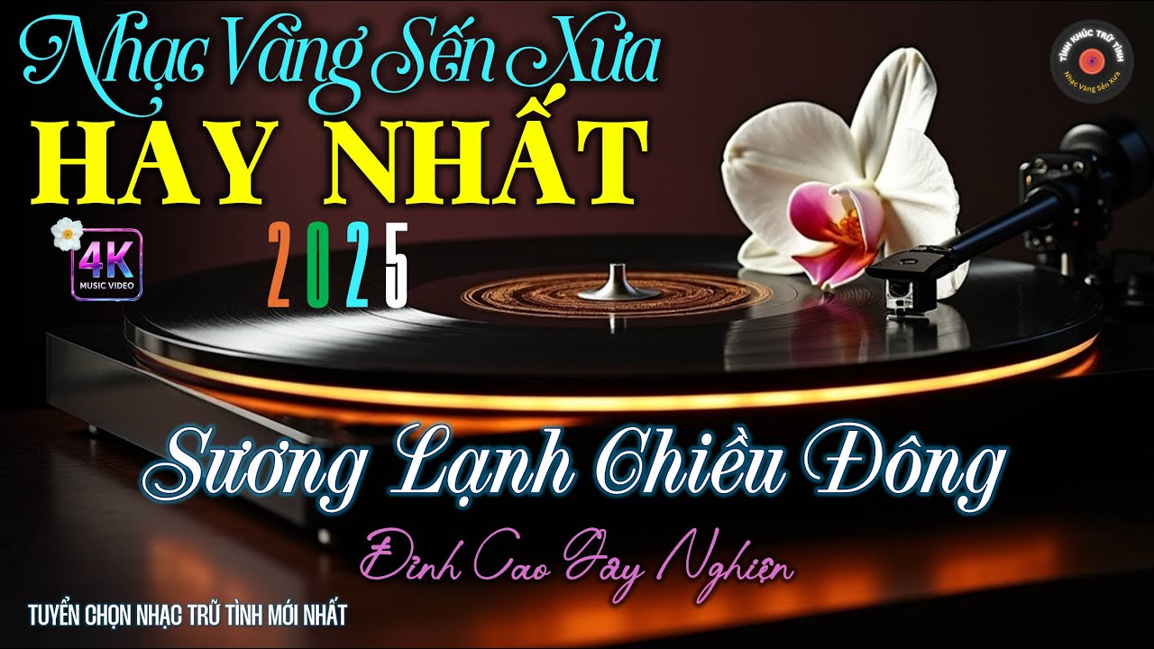 Nhạc BOLERO Trữ Tình Sâu Lắng, ĐỘC LẠ 2025 - Nhạc Vàng Xưa Giai Điệu CỰC DỄ NGHE - NGHE LÀ NGHIỆN