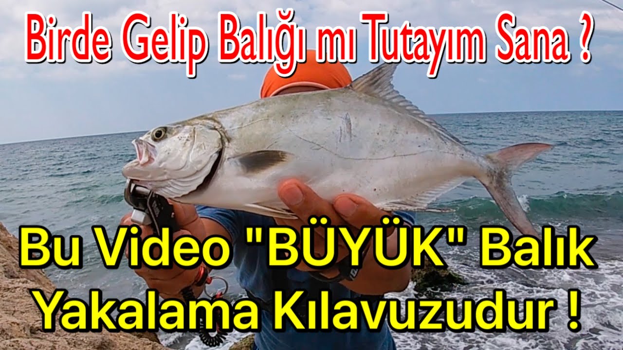 Canlı yemle Balık avı ötesi yok !!! Bu Video'dan Sonra Balık Tutamayan da Ne Bilim Yani...