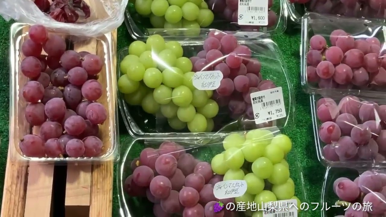 ぶどう🍇の産地山梨県、素晴らしいです。