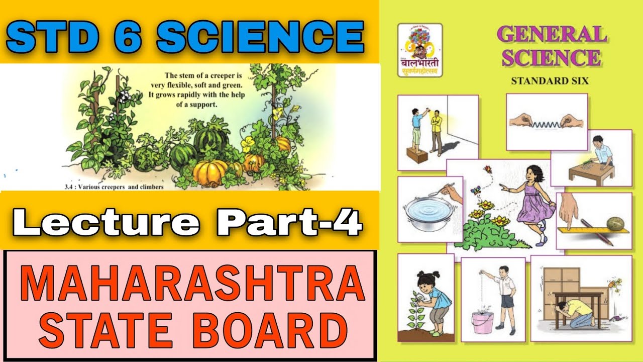 Class 6th| Science |Chapter 3| Diversity in living things and their Classification| Part 4 मराठी