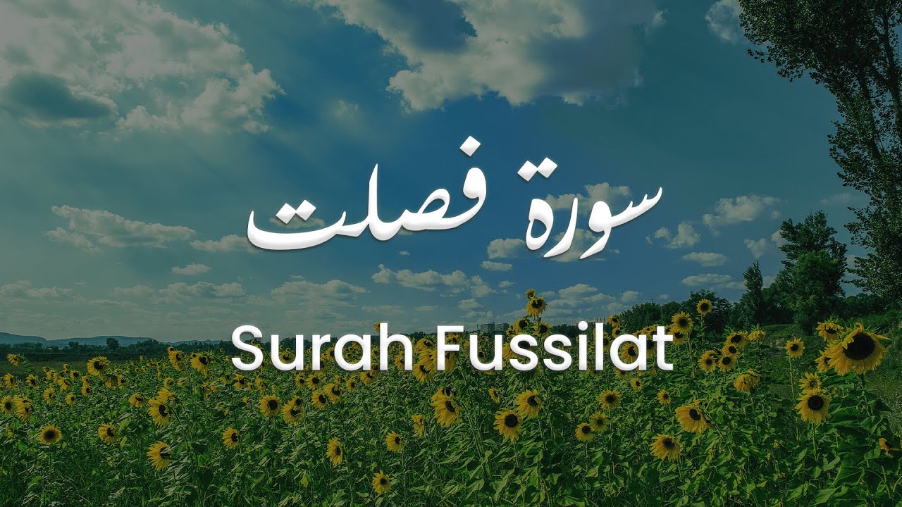 سورة فصلت للشيخ علي البراق | المصحف المرتل