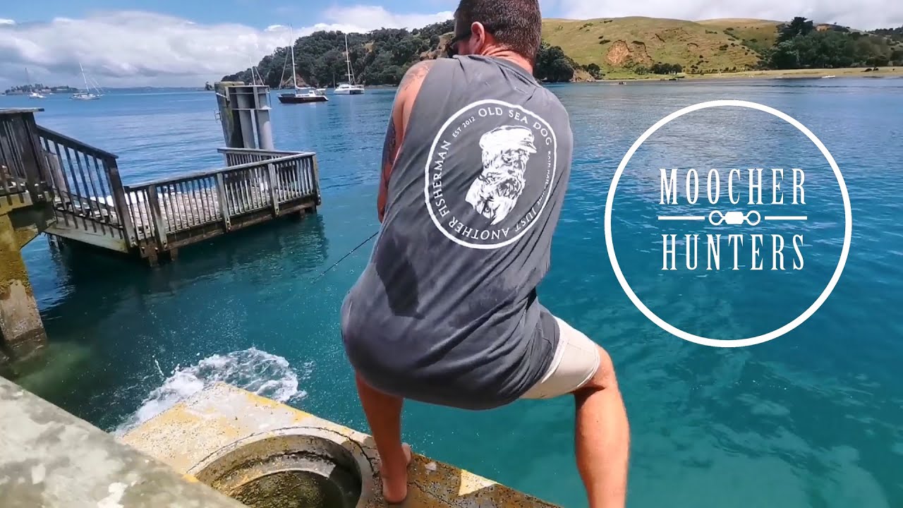 Big Kingfish Hit | Wharf Fishing | Moocher Hunters