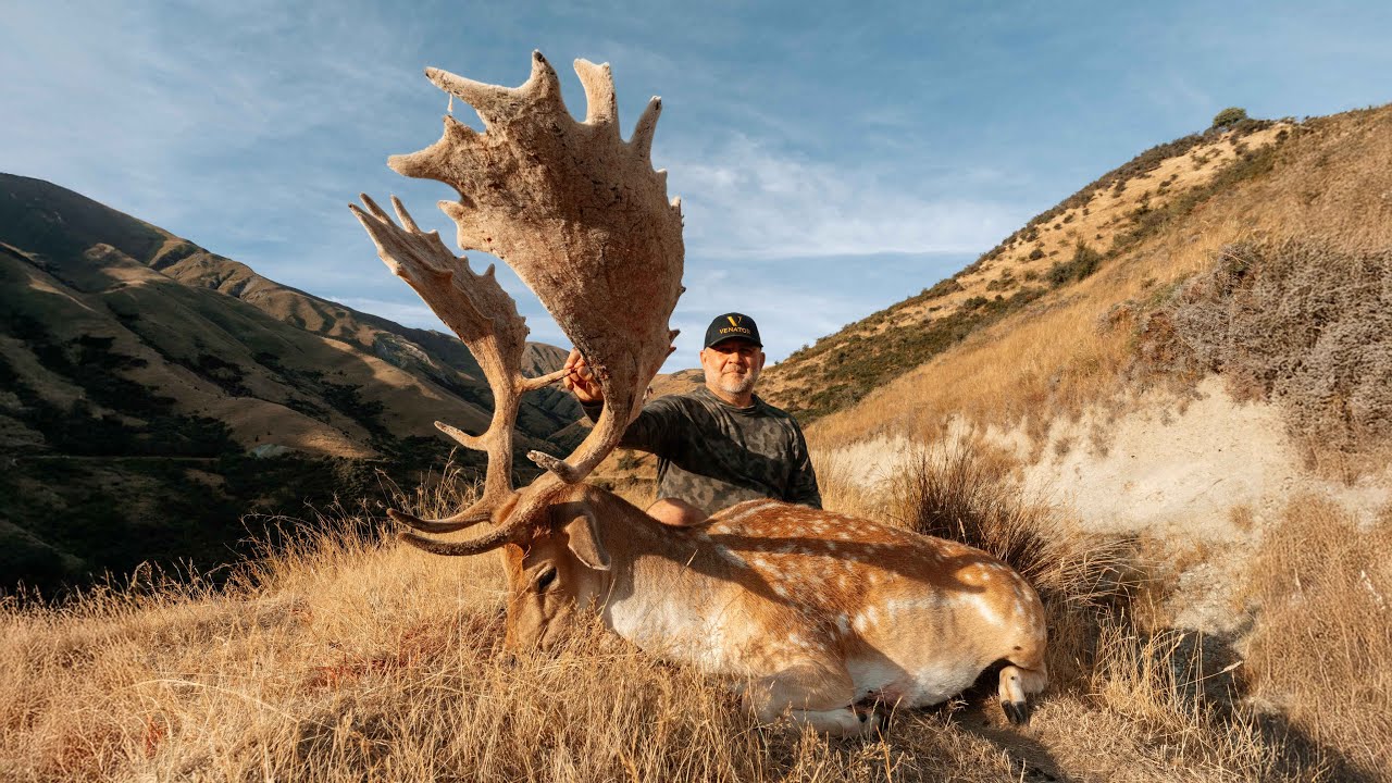 Venator New Zealand |  Scott Hunts a World-Class Fallow Buck!