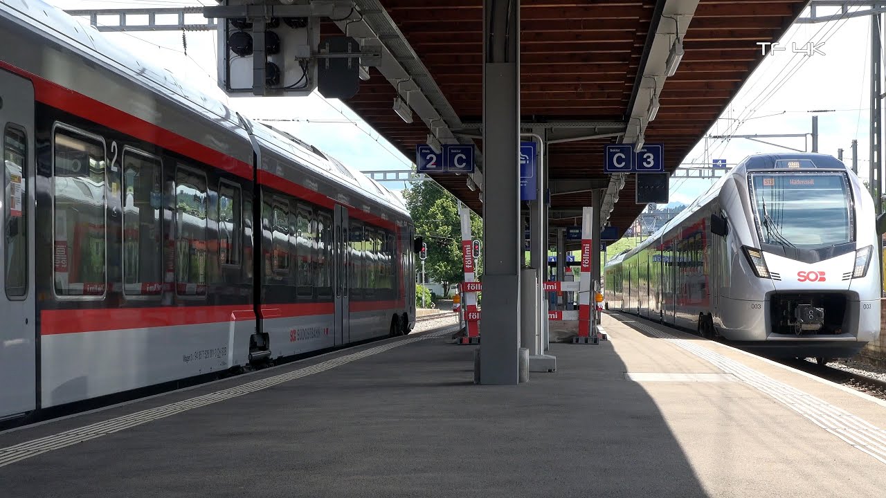 Voralpenexpress und S13 in Samstagern