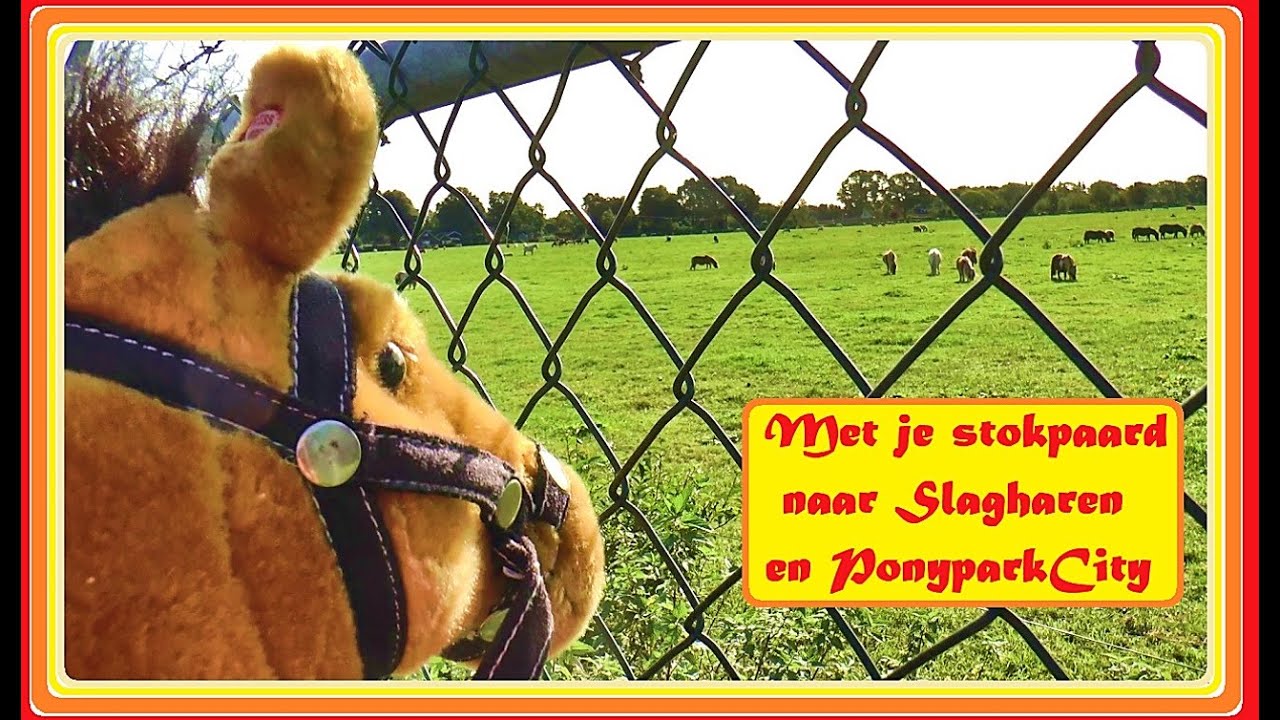 Met het stokpaardje naar Slagharen ♥ Ponyparkcity - Hobbyhorse on tour !!