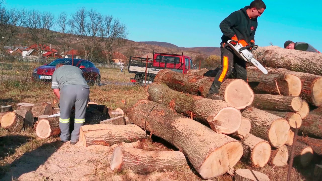 stihl ms 261 3/8 16 inch