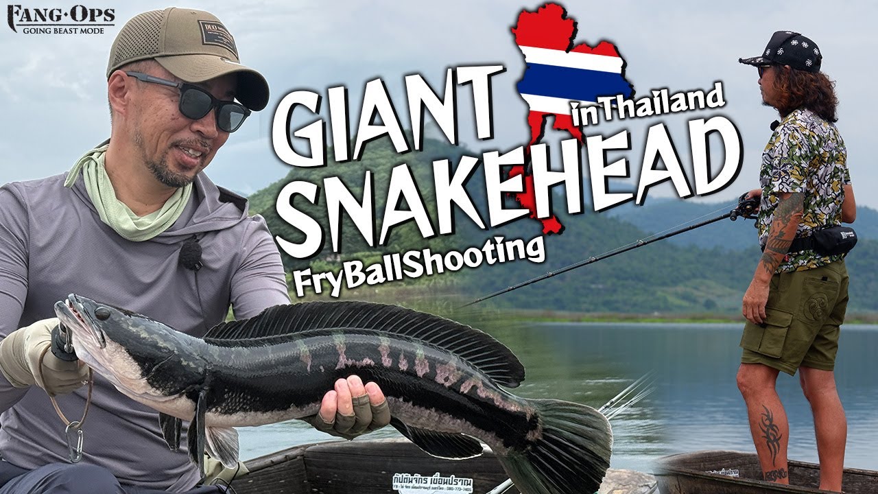タイのダム湖でネイティブのチャドーを狙う！【FANG OPS/鵜山 和洋 ＆ 安達 政弘】
