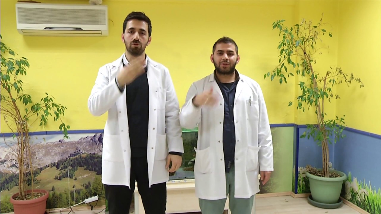 Sev Kardeşim İşaret Dili