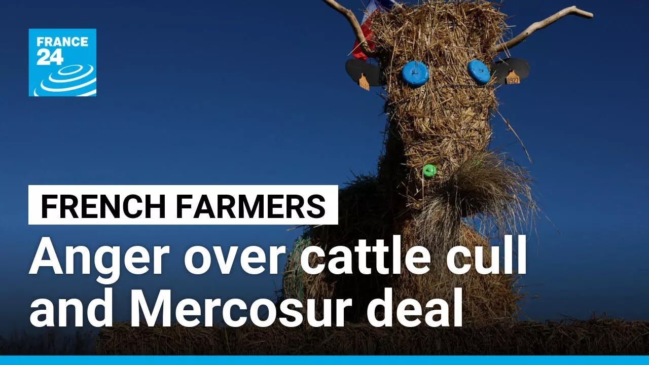 French farmers contest cattle disease measures and Mercorsur deal &bull; FRANCE 24 English
