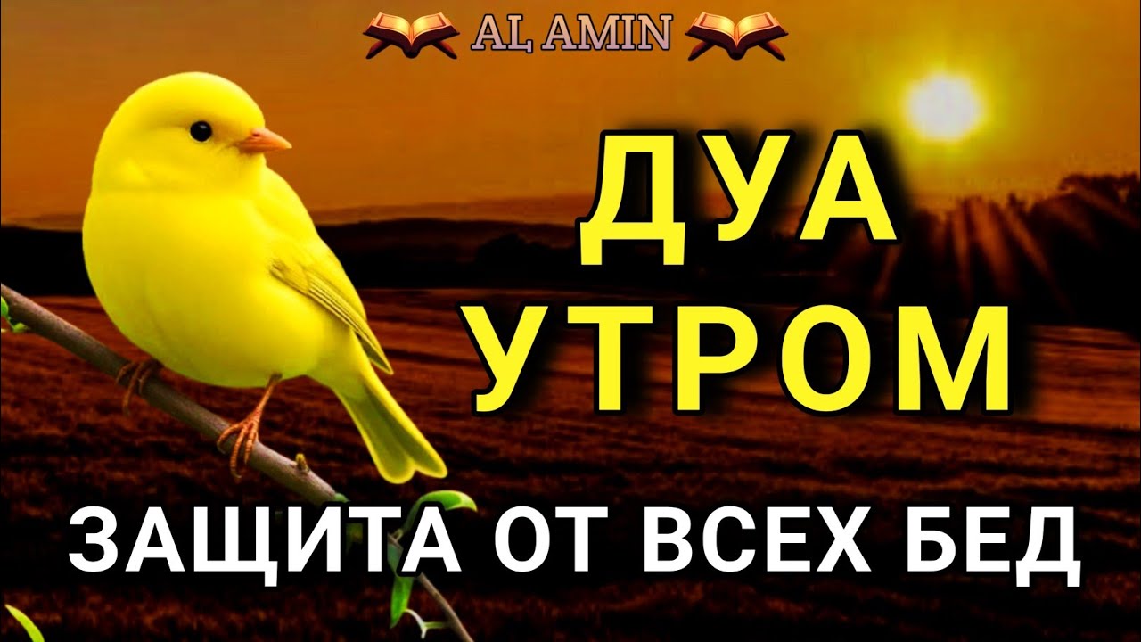 ☝️💖СИЛЬНЕЙШЕЕ ДУА УТРОМ ОТ ВСЕХ БЕД  🌹🤲💯