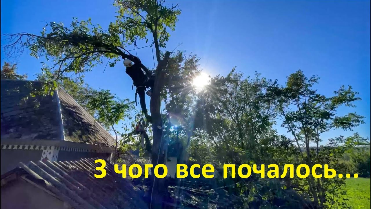 Арбористика - початок | 10 дерев за день |